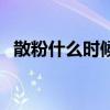 散粉什么时候用比较好（散粉什么时候用）
