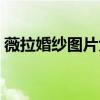 薇拉婚纱图片大全（薇拉婚纱照大概多少钱）