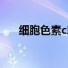 细胞色素c氧化酶是什么（细胞色素c）