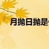 月抛日抛是什么意思（日抛是什么意思）