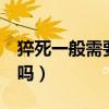 猝死一般需要几天没睡(熬夜到6点还要去睡吗) 猝死一般需要几天没睡(熬夜到6点还要去睡吗)