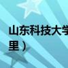 山东科技大学在哪里法学（山东科技大学在哪里）