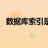 数据库索引是什么意思（索引是什么意思）