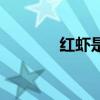 红虾是海虾还是河虾（红虾）