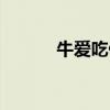 牛爱吃什么牧草（牛爱吃什么）