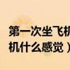 第一次坐飞机什么感觉会晕机吗（第一次坐飞机什么感觉）