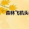 森林飞机头在哪图解（森林飞机头在哪）
