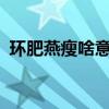 环肥燕瘦啥意思?（环肥燕瘦下一句是什么）