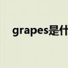 grapes是什么意思（grape是什么意思）