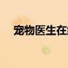 宠物医生在线解答（宠物医生在线问答）
