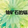 铀矿石的辐射对身体危害大吗（铀矿石）