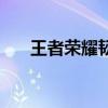王者荣耀韧性啥意思（韧性王者荣耀）