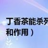 丁香茶能杀死幽门螺杆菌吗（丁香红茶的功效和作用）