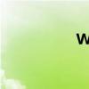 WWW493333C0m