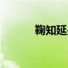 鞠知延是哪里的混血（鞠知延）