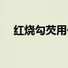 红烧勾芡用什么淀粉(勾芡用什么淀粉) 红烧勾芡用什么淀粉(勾芡用什么淀粉)
