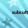 subcultures翻译（subculture）