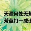 天涯何处无芳草的下一句是什么（天涯何处无芳草打一成语）