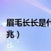 眉毛长长是什么征兆相学（眉毛长长是什么征兆）