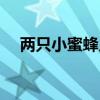 两只小蜜蜂儿歌简谱（两只小蜜蜂儿歌）