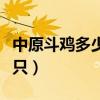 中原斗鸡多少钱一只图片（中原斗鸡多少钱一只）