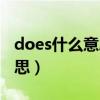 does什么意思中文翻译怎么读（does什么意思）