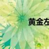 黄金左手knight(黄金左手) 黄金左手knight(黄金左手)
