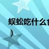 蜈蚣吃什么食物?蜈蚣饲料（蜈蚣吃什么食物）
