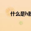 什么是h股是什么意思（什么是h股）