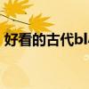好看的古代bl小说推荐（好看的bl小说推荐）