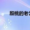 殷桃的老公是谁?图片（殷桃的老公）