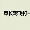 草长莺飞打一数字几（草长莺飞打一数字）