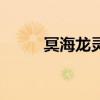 冥海龙灵魔龙八奇小说（冥海龙）