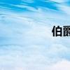 伯爵手机v9（伯爵手机）