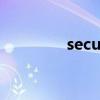 secure的意思（secured）