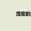 茂密的反义词（狭窄的反义词）