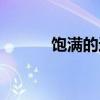 饱满的近义词（透明的近义词）
