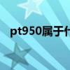 pt950属于什么材质（pt950是什么意思）