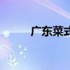 广东菜式菜谱大全图片（广东菜）