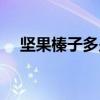 坚果榛子多少钱一斤（榛子多少钱一斤）