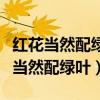 红花当然配绿叶什么花没有叶子的陪衬（红花当然配绿叶）