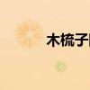 木梳子断了有什么预兆（木梳）