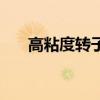高粘度转子泵结构图（高粘度转子泵）
