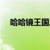 哈哈镜王国历险记（哈哈镜城堡读后感）