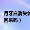 月牙白消失能补回来吗女生（月牙白消失能补回来吗）
