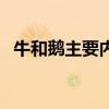 牛和鹅主要内容是什么（牛和鹅主要内容）