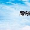 鹰钩鼻图片 男人（鹰钩鼻）