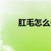 肛毛怎么去除（有肛毛可以当兵吗）
