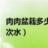 肉肉盆栽多少天浇一次水（肉肉植物多久浇一次水）