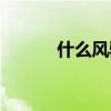 什么风骤雨填空（什么风骤雨）